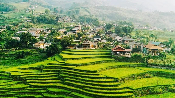 ban ta van